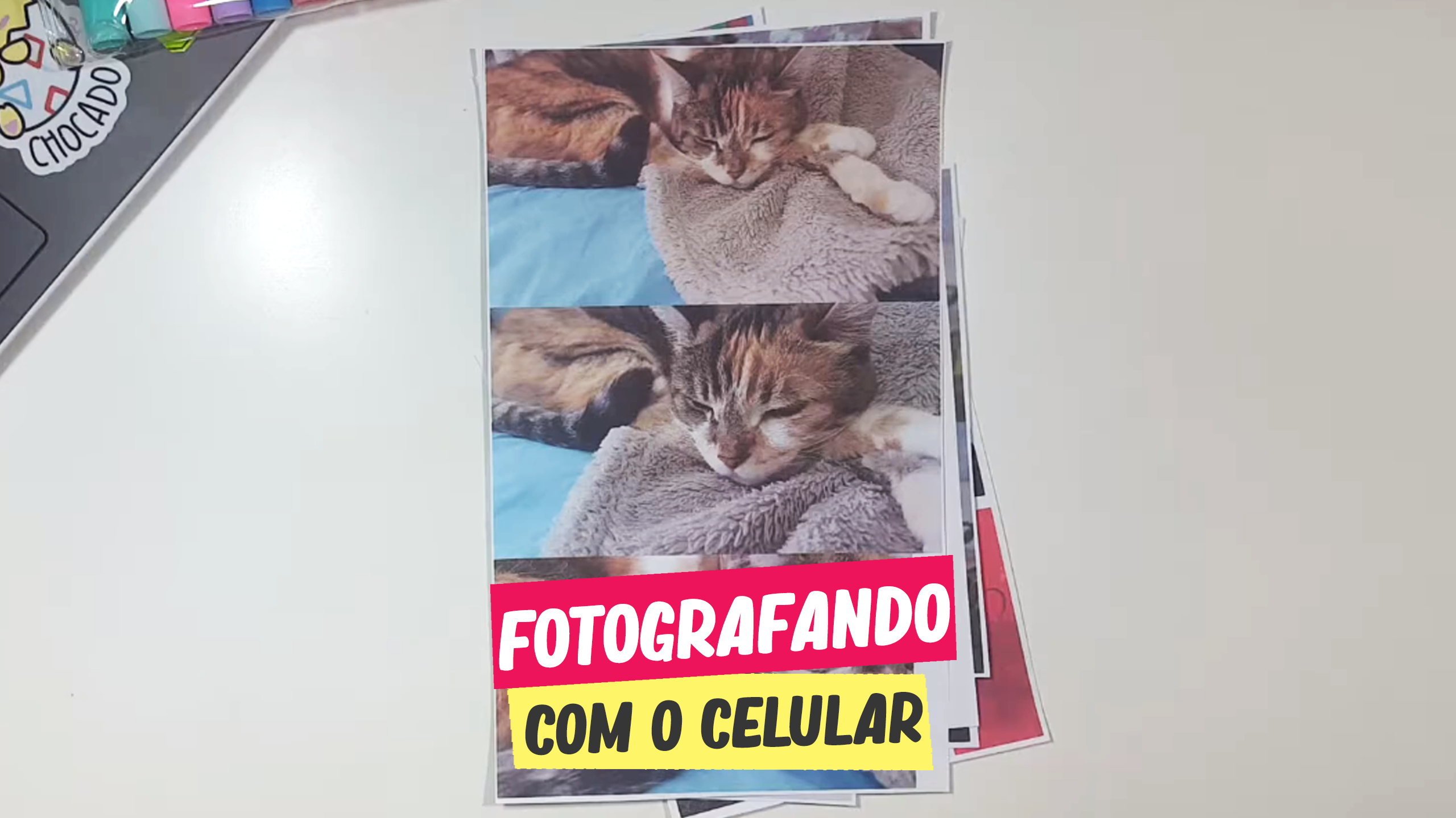 FOTOGRAFANDO COM O CELULAR